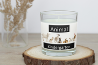 Animal Kingdom Collection