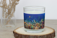 Animal Kingdom Collection