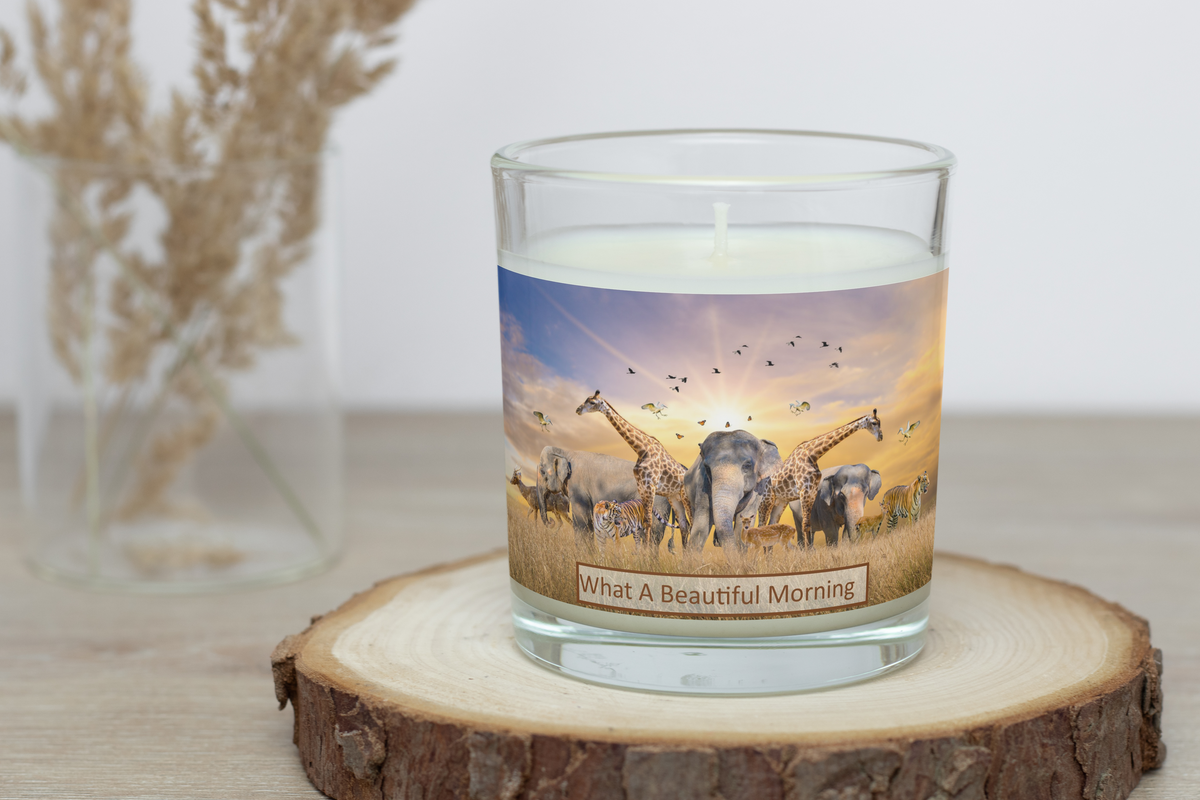 Animal Kingdom Collection